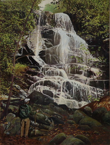 OLX1103-616 HIGH FALLS AT BEAVER MEADOWlow res