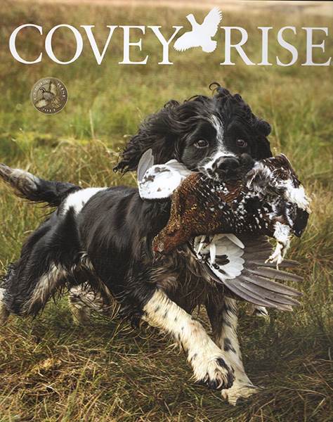 Covey Rise Magazine